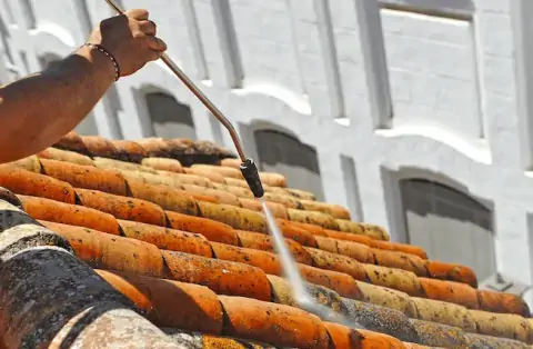 Nettoyage de toitures - Reyrieux